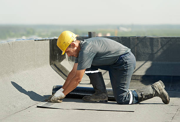 Best Residential Insulation in Iowa Falls, IA